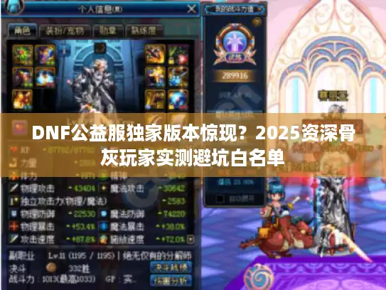 DNF公益服独家版本惊现？2025资深骨灰玩家实测避坑白名单
