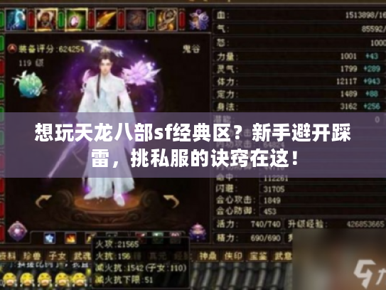 想玩天龙八部sf经典区？新手避开踩雷，挑私服的诀窍在这！
