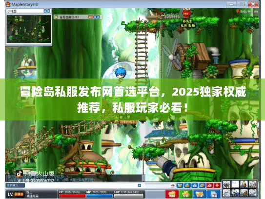 冒险岛私服发布网首选平台，2025独家权威推荐，私服玩家必看！