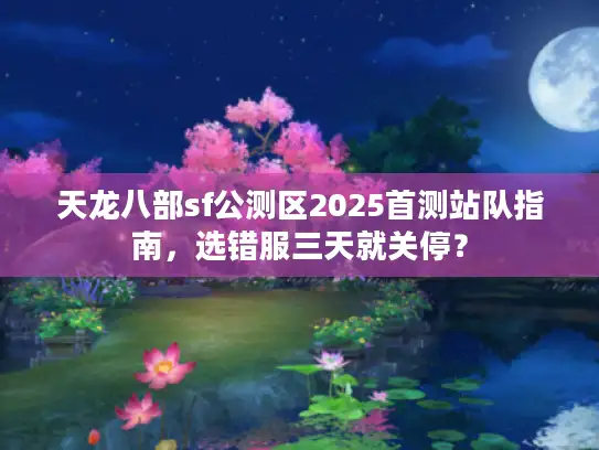 天龙八部sf公测区2025首测站队指南，选错服三天就关停？