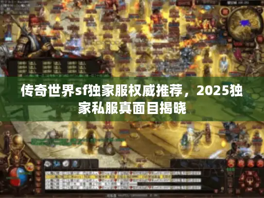 传奇世界sf独家服权威推荐,2025独家私服真面目揭晓 传奇世界sf独家服权威推荐,2025独家私服真面目揭晓