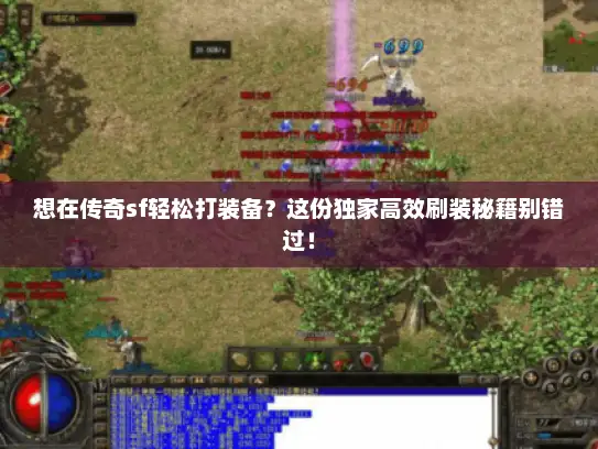 想在传奇sf轻松打装备？这份独家高效刷装秘籍别错过！