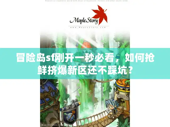 冒险岛sf刚开一秒必看，如何抢鲜挤爆新区还不踩坑？