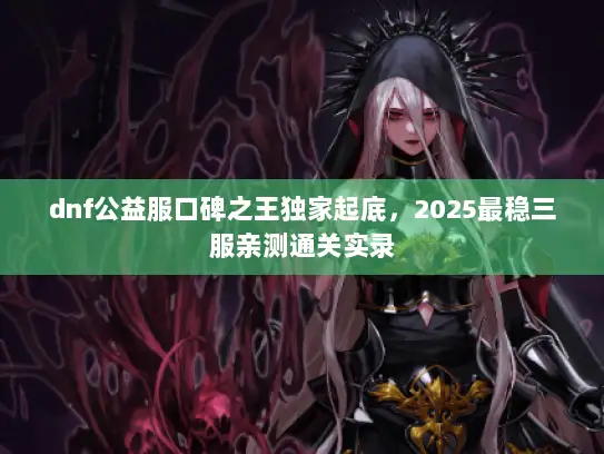 dnf公益服口碑之王独家起底，2025最稳三服亲测通关实录