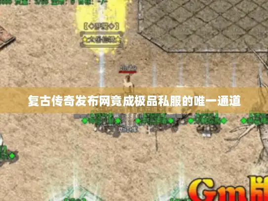 复古传奇发布网竟成极品私服的唯一通道