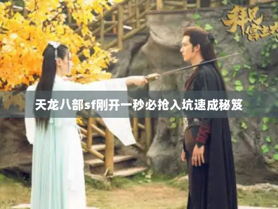 天龙八部sf刚开一秒必抢入坑速成秘笈