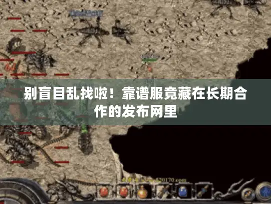 别盲目乱找啦！靠谱服竟藏在长期合作的发布网里