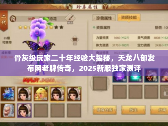 骨灰级玩家二十年经验大揭秘，天龙八部发布网老牌传奇，2025新服独家测评