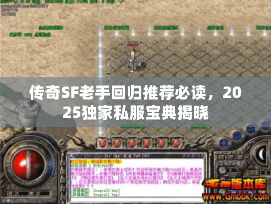 传奇SF老手回归推荐必读，2025独家私服宝典揭晓