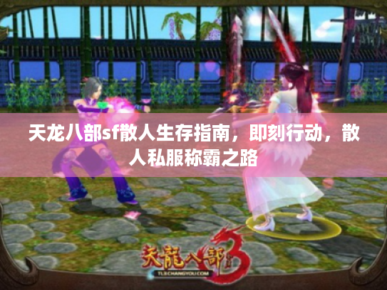 天龙八部sf散人生存指南，即刻行动，散人私服称霸之路