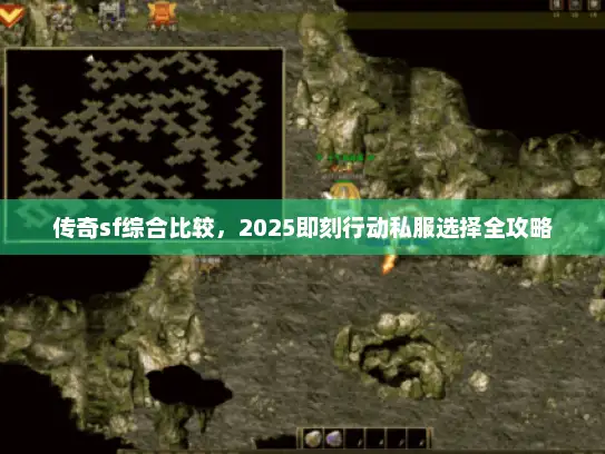 传奇sf综合比较，2025即刻行动私服选择全攻略
