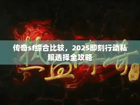 传奇sf综合比较，2025即刻行动私服选择全攻略