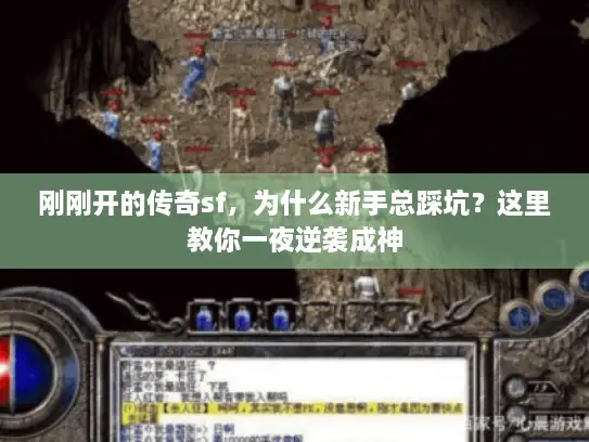 刚刚开的传奇sf，为什么新手总踩坑？这里教你一夜逆袭成神