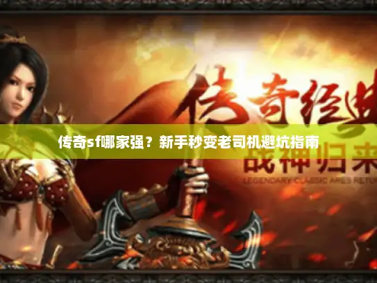 传奇sf哪家强？新手秒变老司机避坑指南
