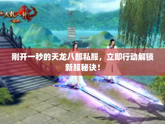 刚开一秒的天龙八部私服，立即行动解锁新服秘诀！