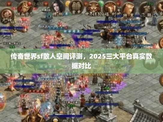 传奇世界sf散人空间评测,2025三大平台真实数据对比 传奇世界sf散人空间评测,2025三大平台真实数据对比