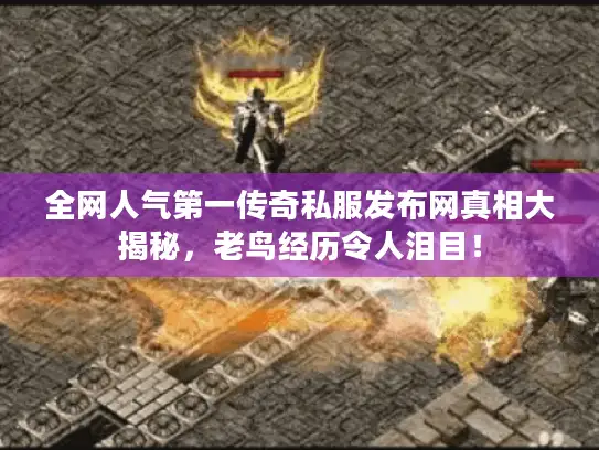 全网人气第一传奇私服发布网真相大揭秘，老鸟经历令人泪目！