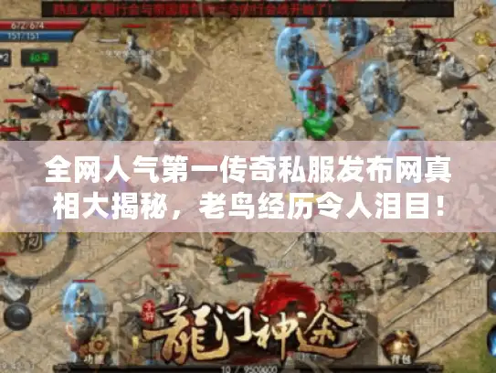 全网人气第一传奇私服发布网真相大揭秘，老鸟经历令人泪目！