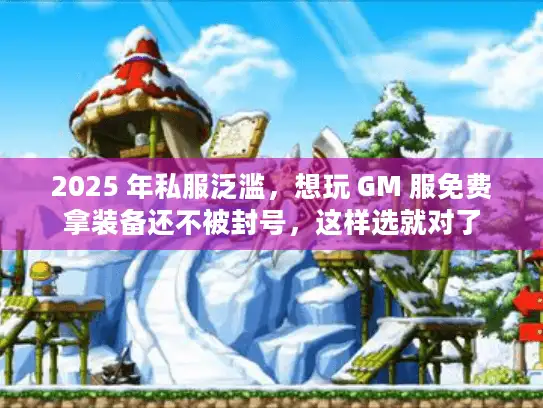 2025 年私服泛滥，想玩 GM 服免费拿装备还不被封号，这样选就对了