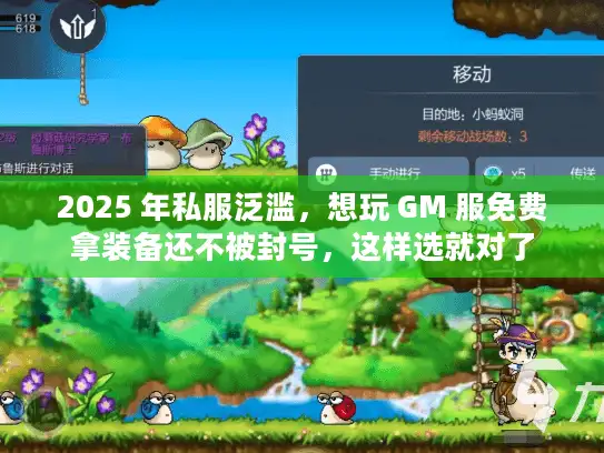2025 年私服泛滥，想玩 GM 服免费拿装备还不被封号，这样选就对了