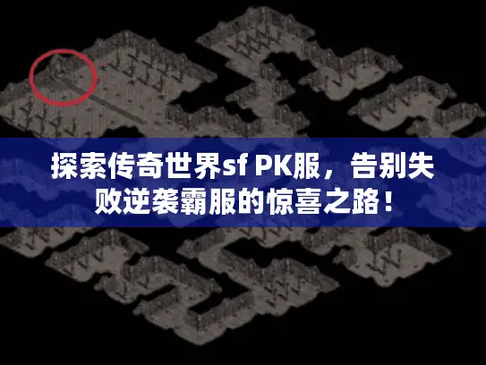 探索传奇世界sf PK服，告别失败逆袭霸服的惊喜之路！