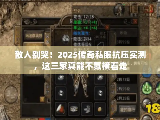 散人别哭！2025传奇私服抗压实测，这三家真能不氪横着走