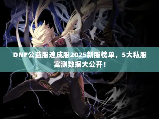 DNF公益服速成服2025新服榜单，5大私服实测数据大公开！