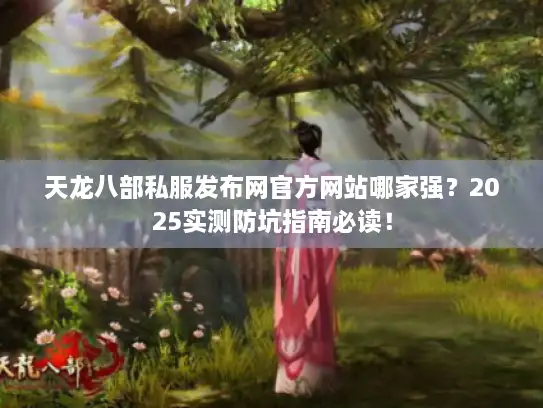 天龙八部私服发布网官方网站哪家强？2025实测防坑指南必读！