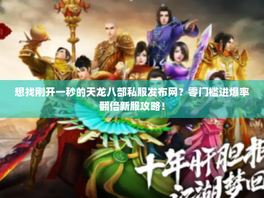 想找刚开一秒的天龙八部私服发布网？零门槛进爆率翻倍新服攻略！