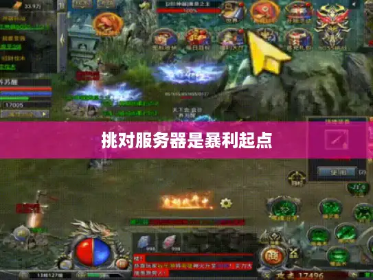 挑对服务器是暴利起点