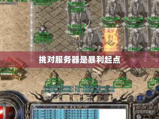 挑对服务器是暴利起点