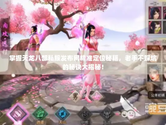 掌握天龙八部私服发布网精准定位秘籍，老手不踩坑的秘诀大揭秘！