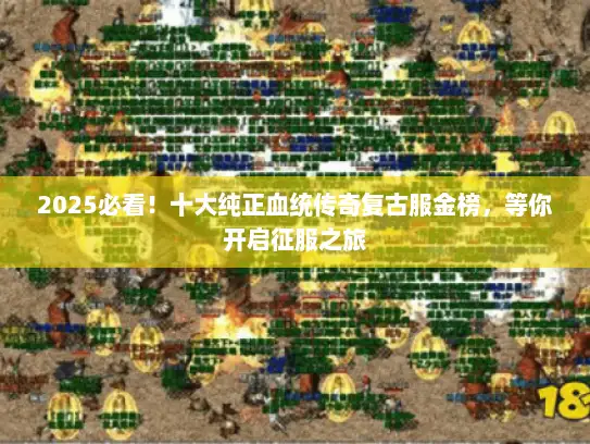 2025必看！十大纯正血统传奇复古服金榜，等你开启征服之旅