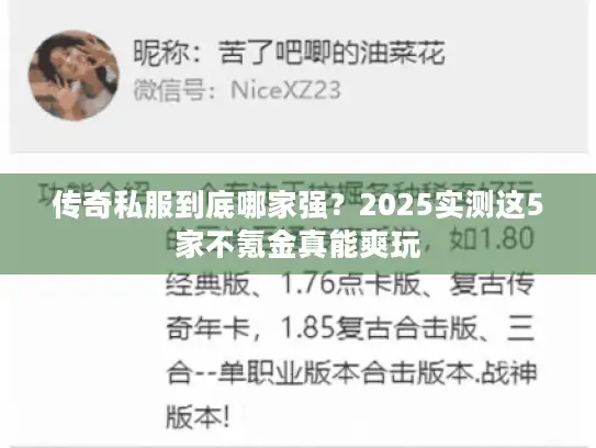 传奇私服到底哪家强？2025实测这5家不氪金真能爽玩