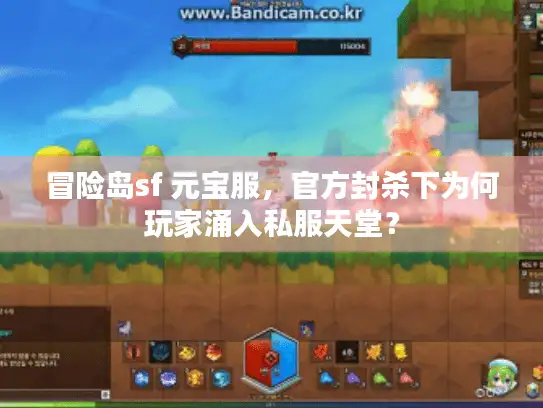 冒险岛sf 元宝服，官方封杀下为何玩家涌入私服天堂？