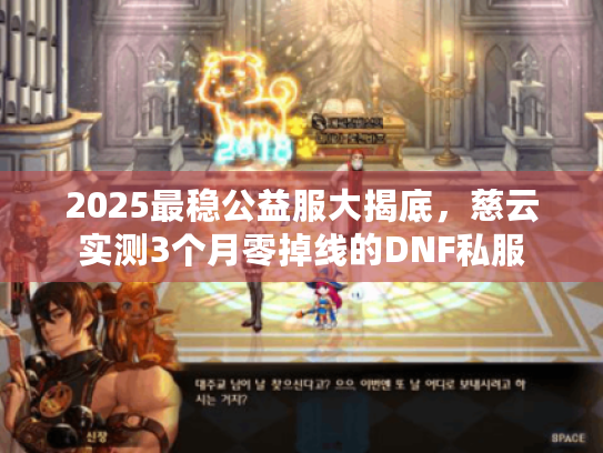 2025最稳公益服大揭底，慈云实测3个月零掉线的DNF私服