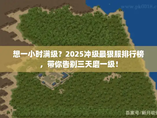 想一小时满级？2025冲级最狠服排行榜，带你告别三天磨一级！