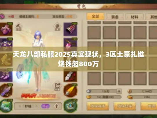 天龙八部私服2025真实现状，3区土豪扎堆烧钱超800万