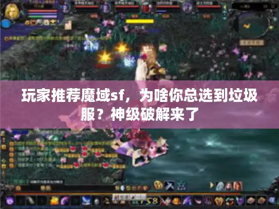 玩家推荐魔域sf,为啥你总选到垃圾服?神级破解来了 玩家推荐魔域sf,为啥你总选到垃圾服?神级破解来了