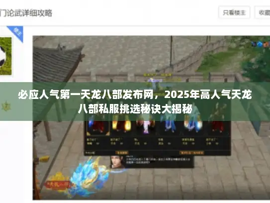 必应人气第一天龙八部发布网，2025年高人气天龙八部私服挑选秘诀大揭秘
