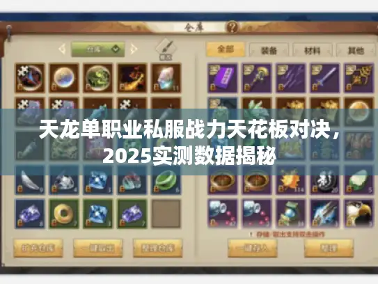 天龙单职业私服战力天花板对决，2025实测数据揭秘
