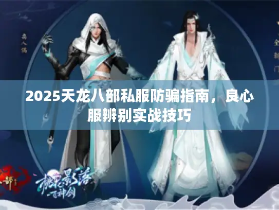 2025天龙八部私服防骗指南，良心服辨别实战技巧