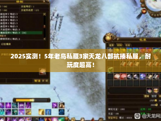 2025实测！5年老鸟私藏3家天龙八部抗揍私服，耐玩度超高！