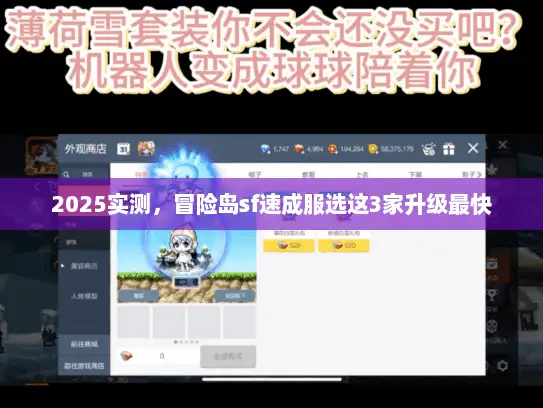2025实测，冒险岛sf速成服选这3家升级最快