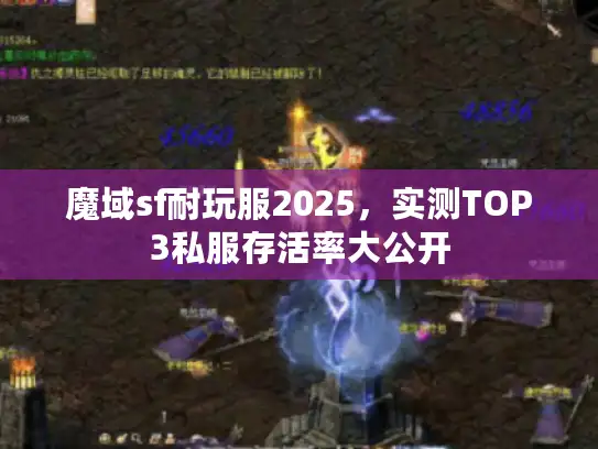 魔域sf耐玩服2025，实测TOP3私服存活率大公开