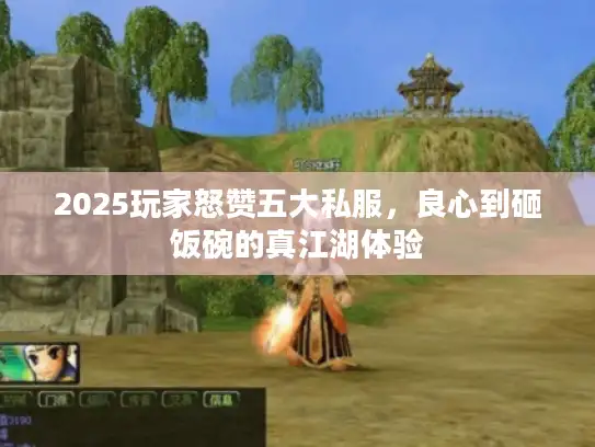 2025玩家怒赞五大私服，良心到砸饭碗的真江湖体验