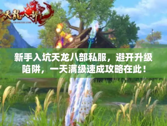 新手入坑天龙八部私服,避开升级陷阱,一天满级速成攻略在此! 新手入坑天龙八部私服,避开升级陷阱,一天满级速成攻略在此!