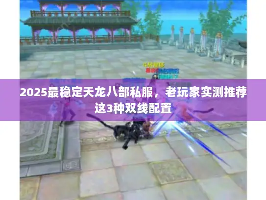 2025最稳定天龙八部私服，老玩家实测推荐这3种双线配置