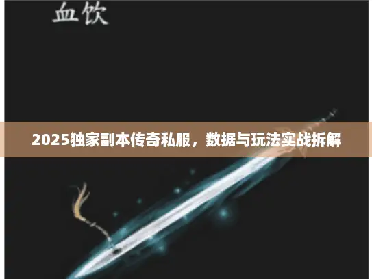 2025独家副本传奇私服,数据与玩法实战拆解 2025独家副本传奇私服,数据与玩法实战拆解