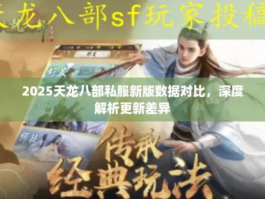 2025天龙八部私服新版数据对比，深度解析更新差异